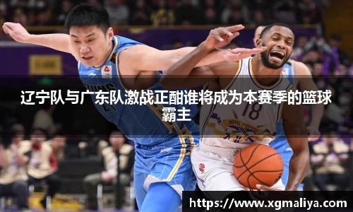 球速体育官网