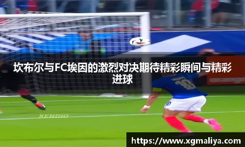 球速体育平台