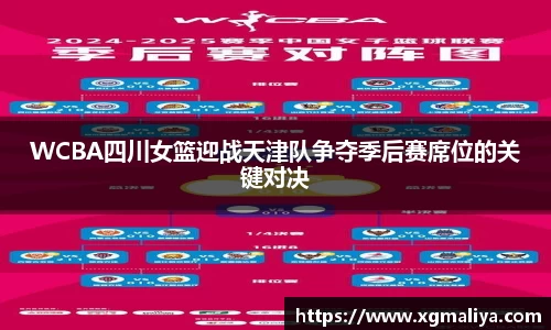 球速体育官网
