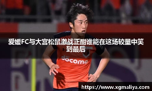 球速体育平台