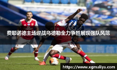 球速体育官网