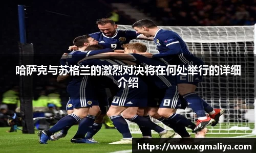 球速体育平台