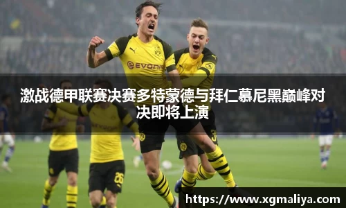球速体育平台